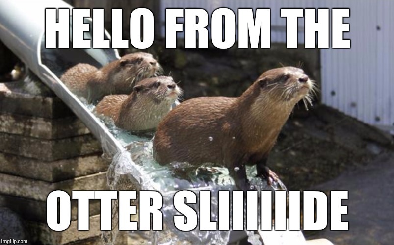 Photo of Otters on a water slide. Meme text says 'Hello from the otter sliiiide'