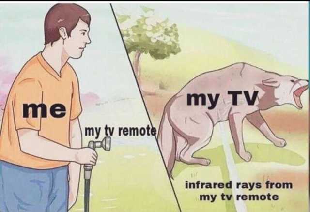 Meme of a man spraying a dog with water, but used as a metaphor for spraying a TV with infrared signals