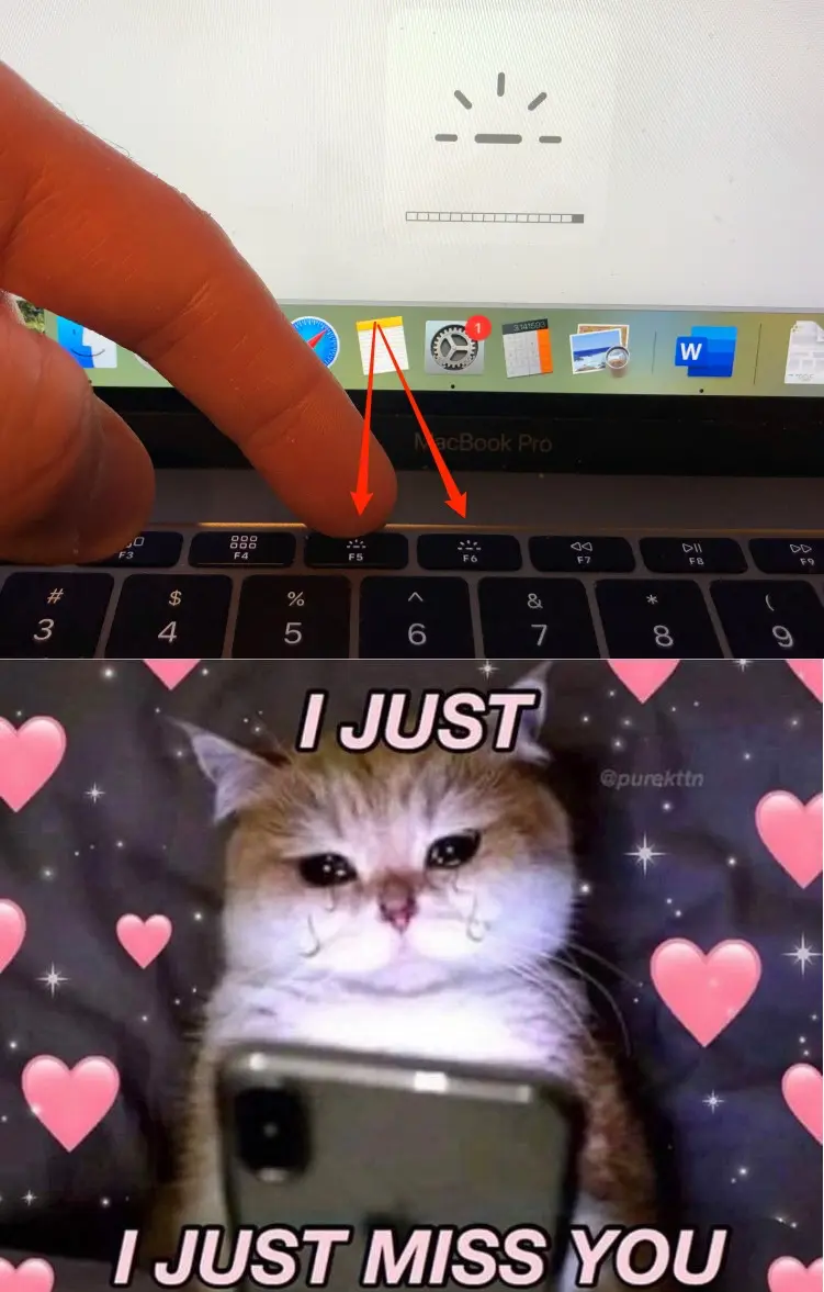 Photo of old macbook keyboard highlighting the brightness keys, followed by a very sad cat with the caption 'I just miss you'