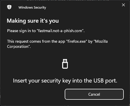 Screenshot of Windows prompt to insert security key